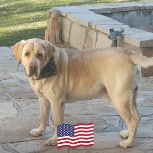 Meet your Posher, Jackie